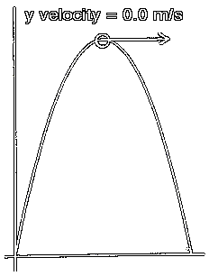 Velocity Vector at Top of Trajectory