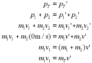 Momentum Equations for Stick Together Problem